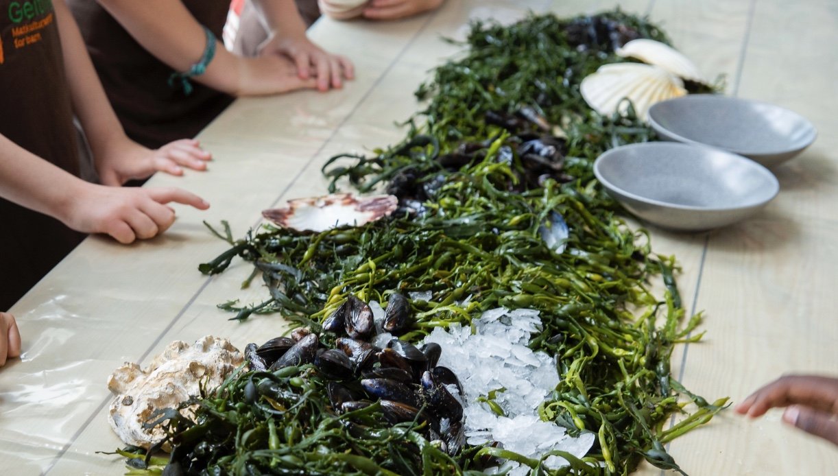 Blåskjelltesten med barna 