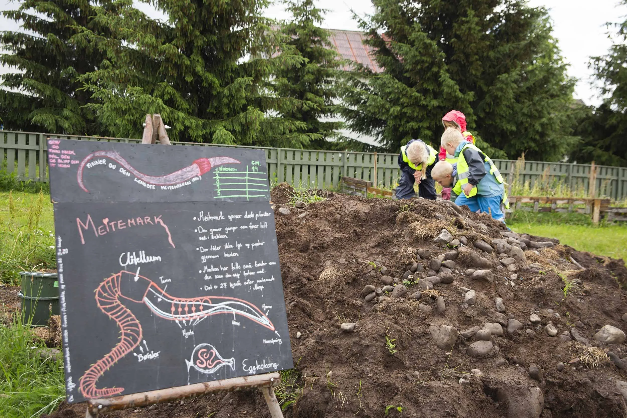 Gøy å grave etter meitemark