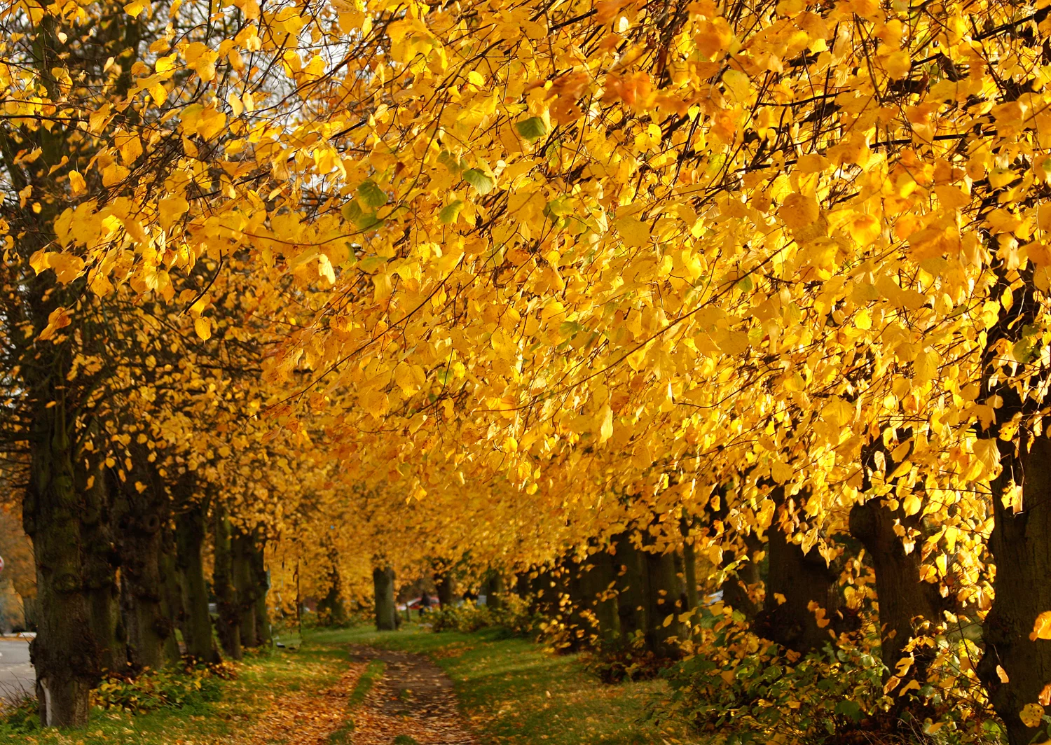 November 2010 014 R.jpg