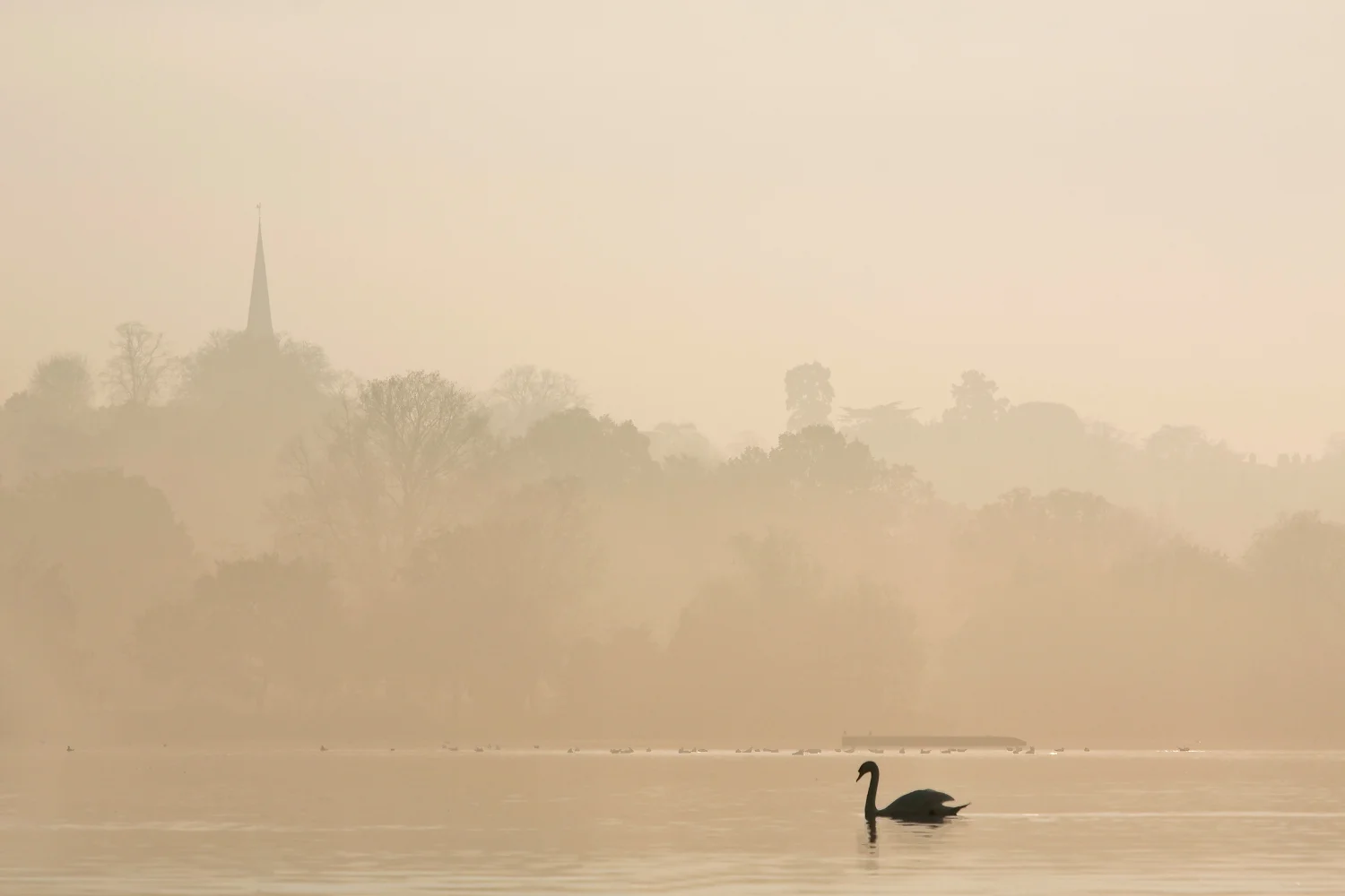 Wimbledon Park 27 R.jpg