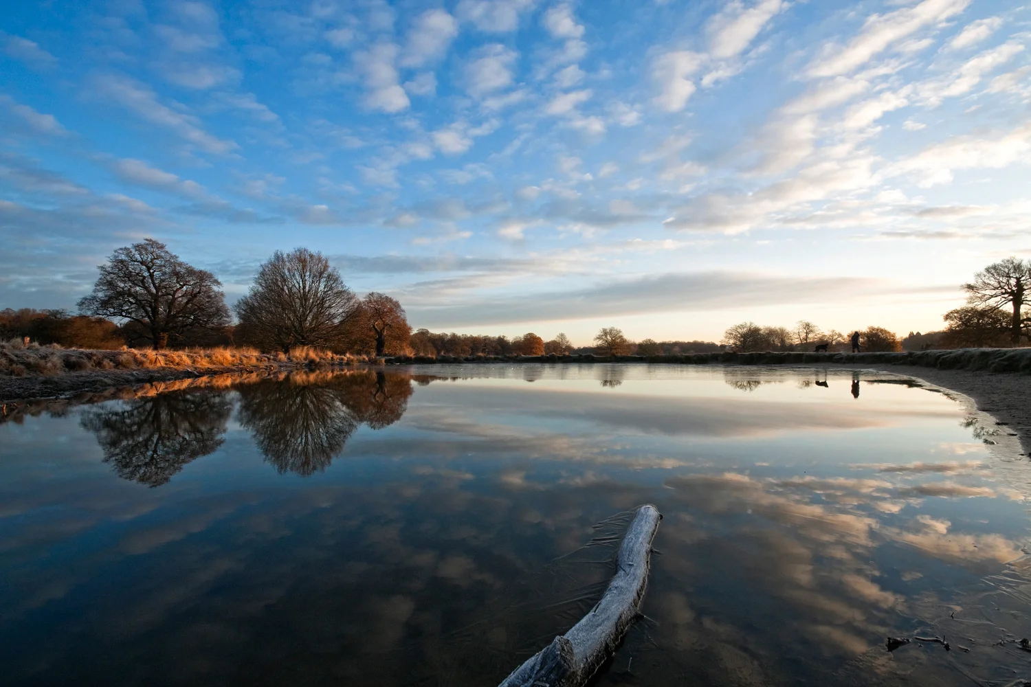 Frosty morning Leg of Mutton Pond 10 R.jpg