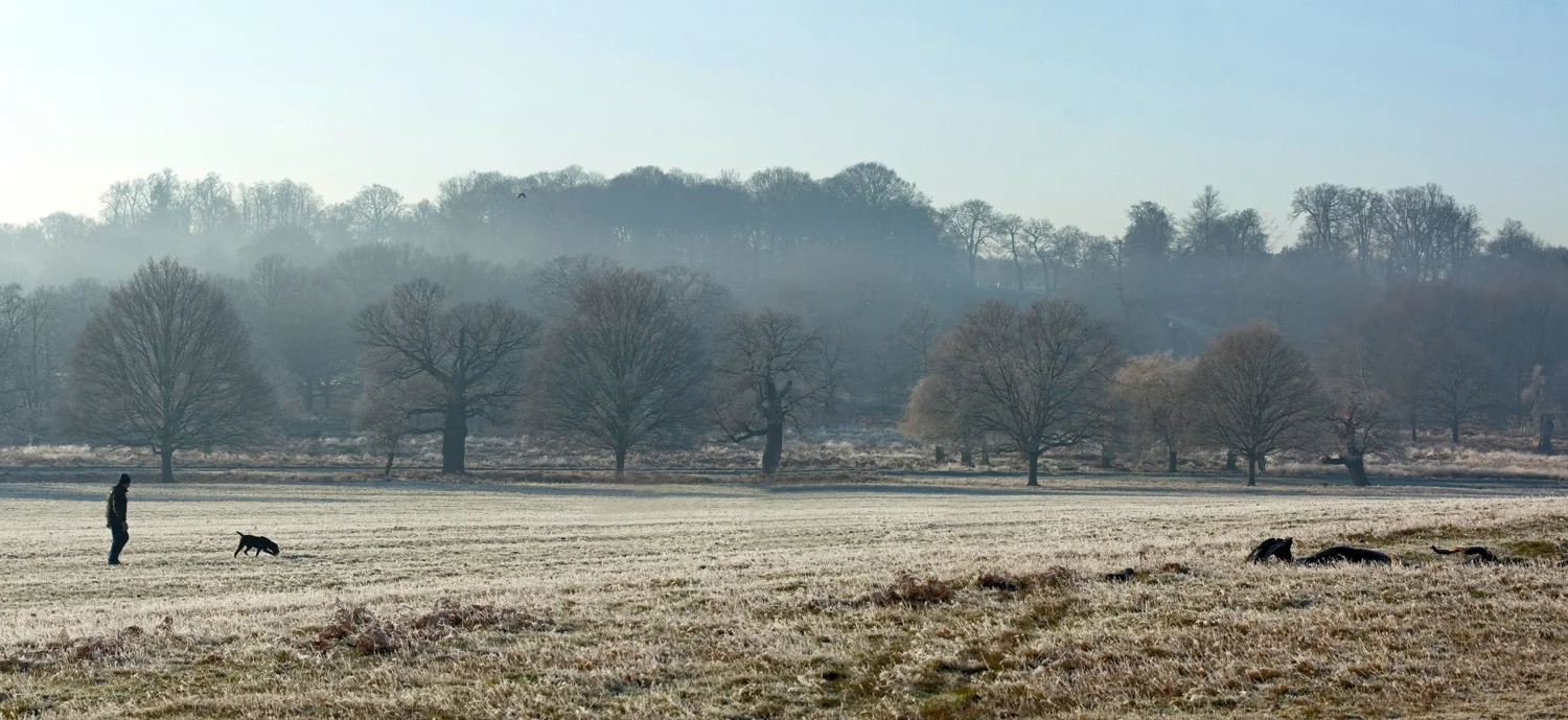 Frosty morning Richmond Park 15 R.jpg