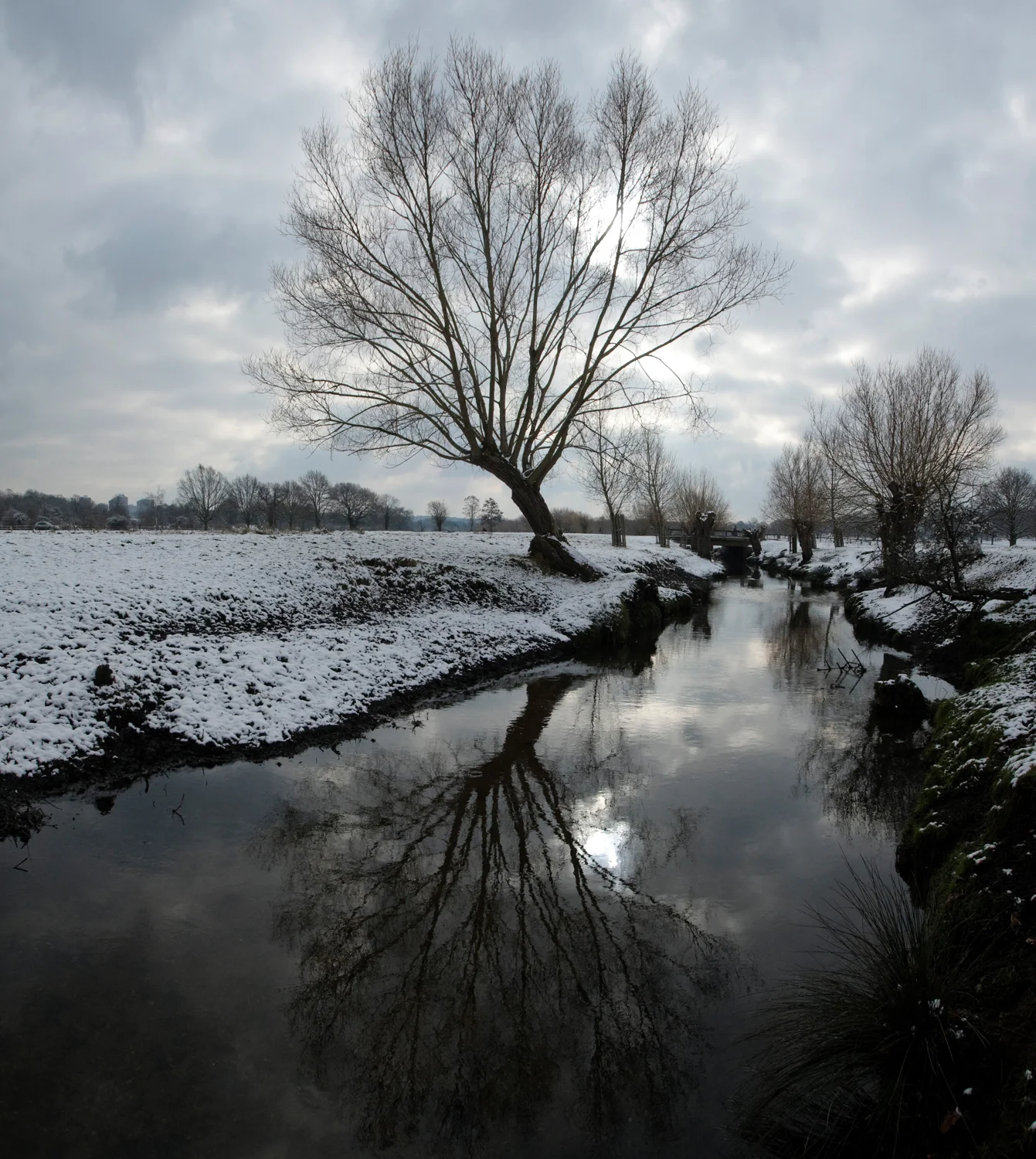 Richmond Park in the Snow 2 R.jpg