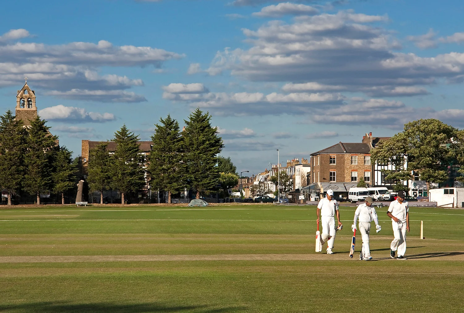 Cricket 9.jpg
