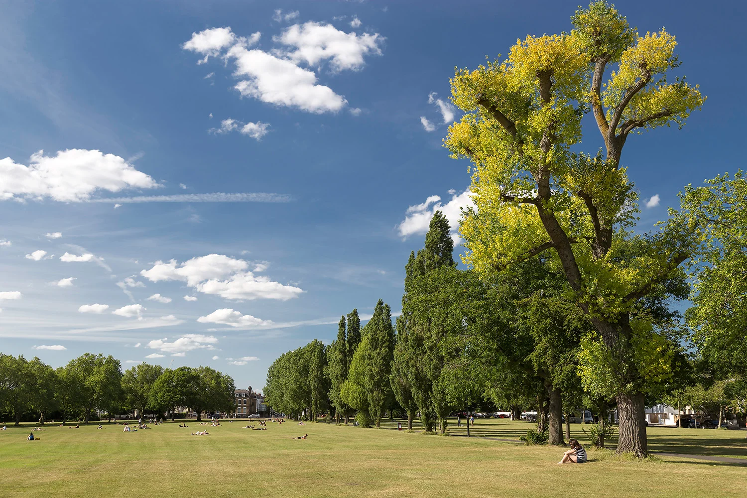 Wandsworth Common West 1 - Copy.jpg