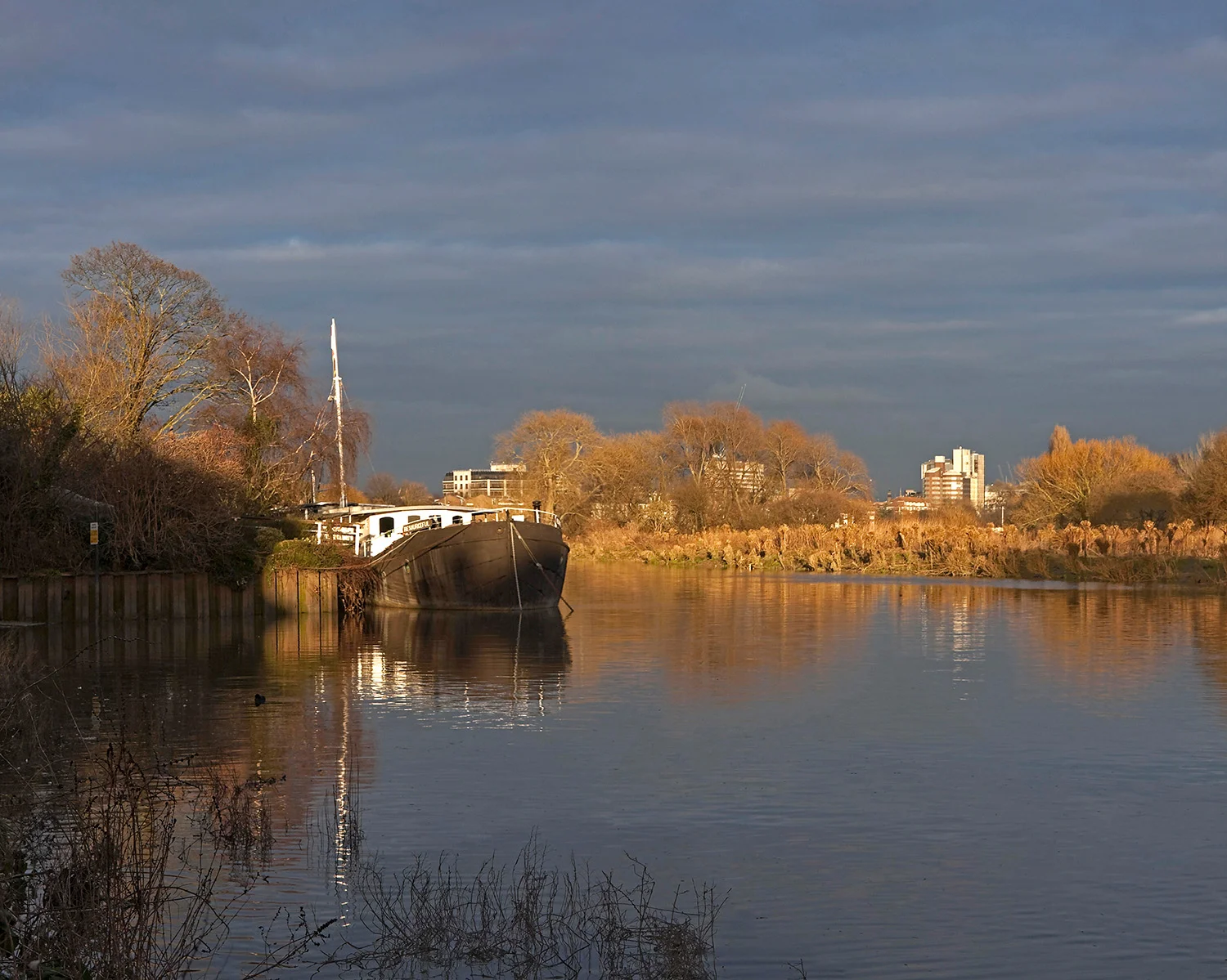 Chiswick Eyot 2_1R.jpg
