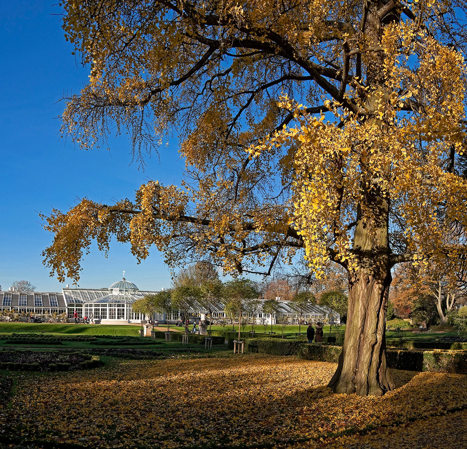 Chiswick House 1_1R.jpg