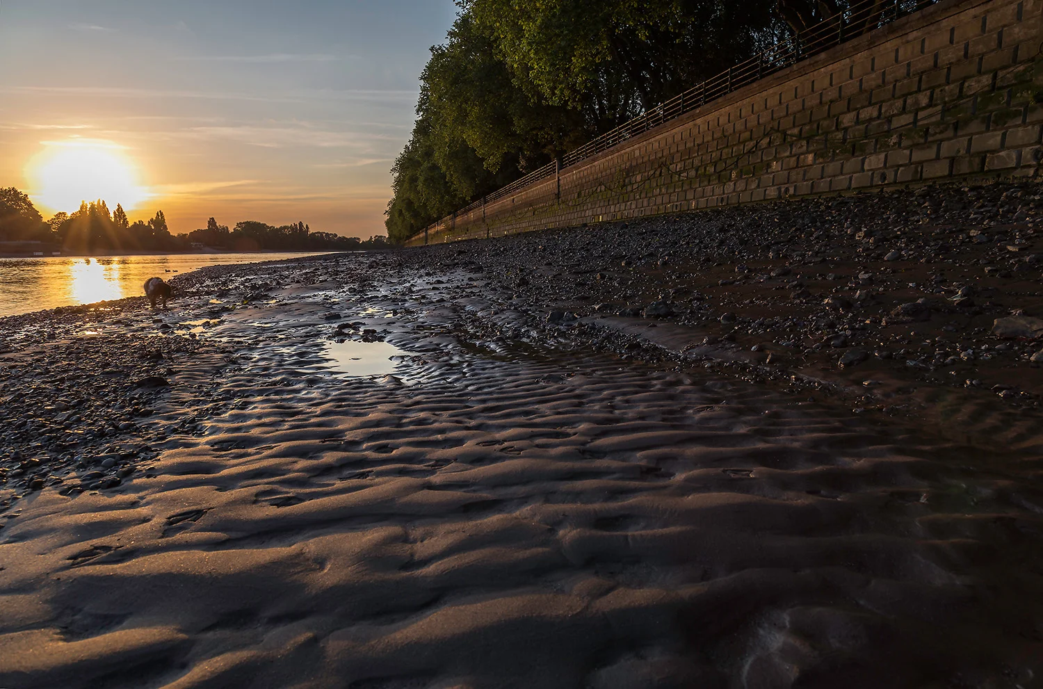 Bishops Park Wall at Sunset 2.jpg