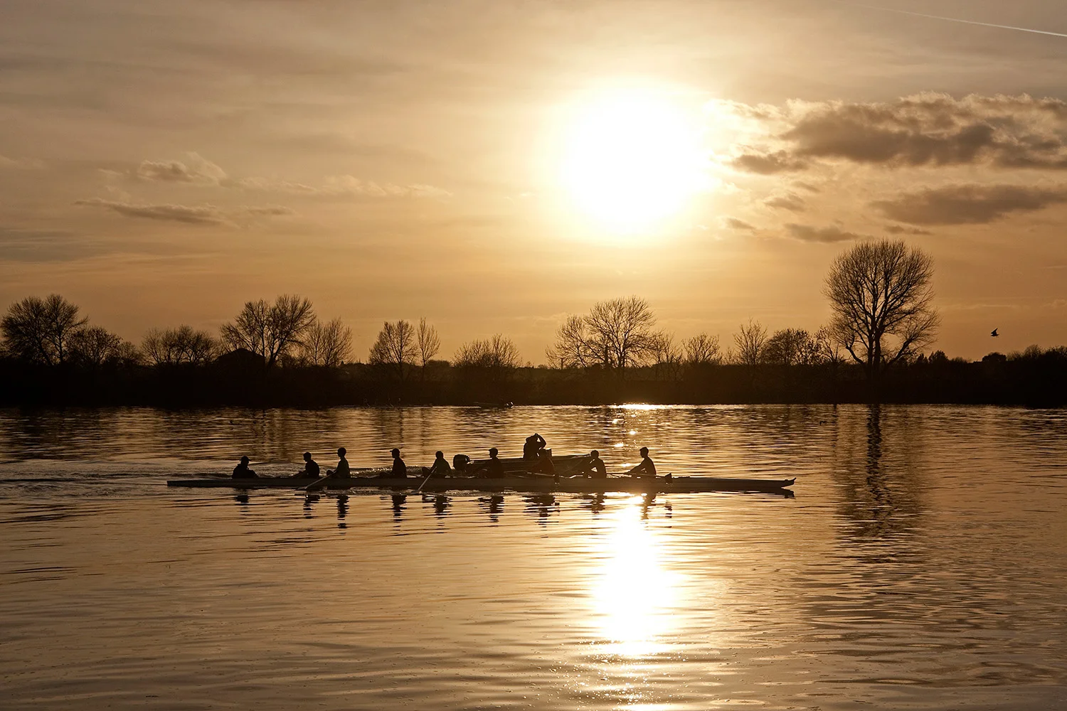 Rowing 1.jpg