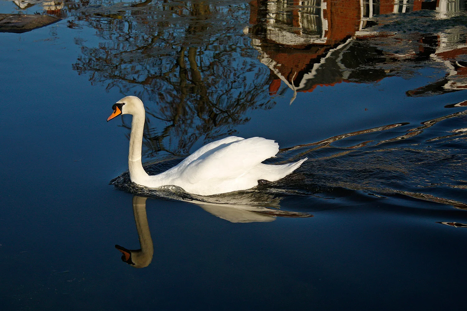 March 2011 052 R.jpg
