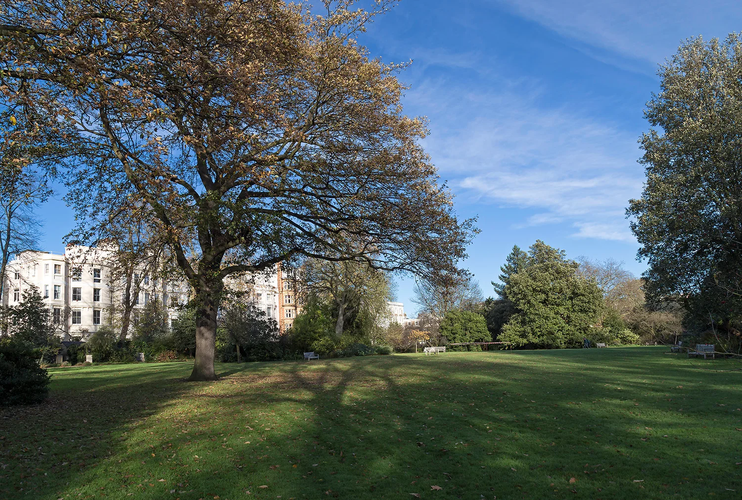 Ladbroke Square Garden Autumn 13.jpg