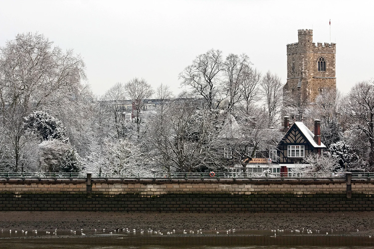 Bishops Park Fulham in Winter.jpg