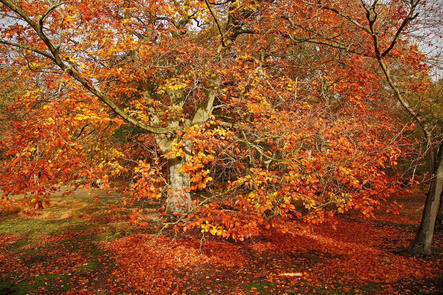 November 2010 045 R.jpg