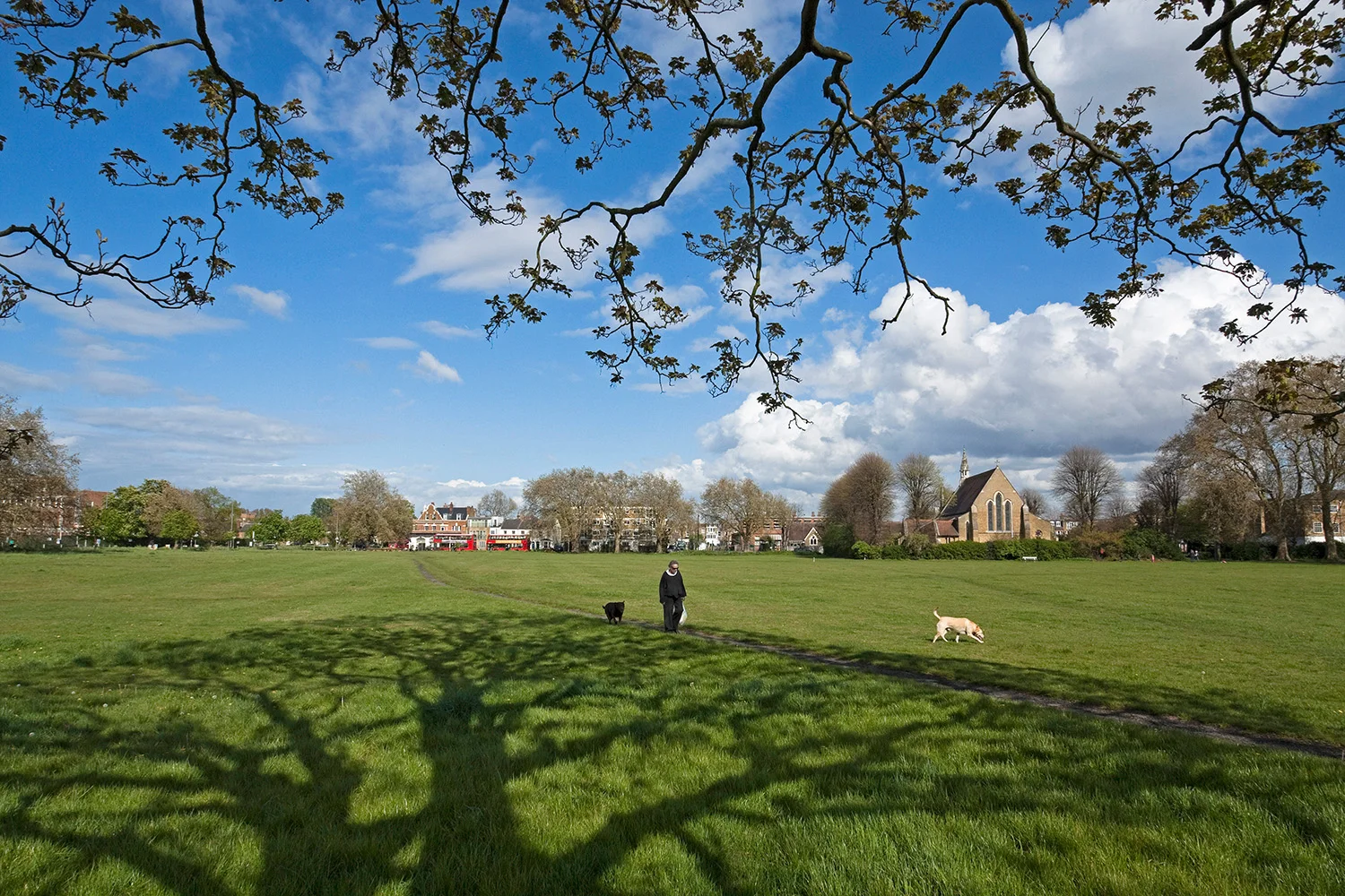 Putney Common 4R.jpg