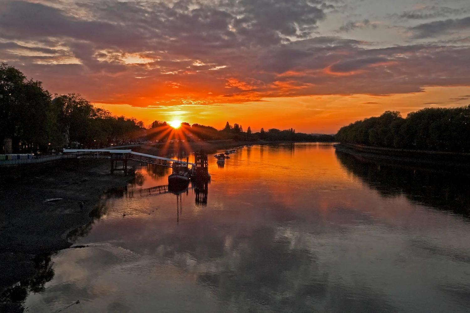 Wild about Putney — WILD LONDON