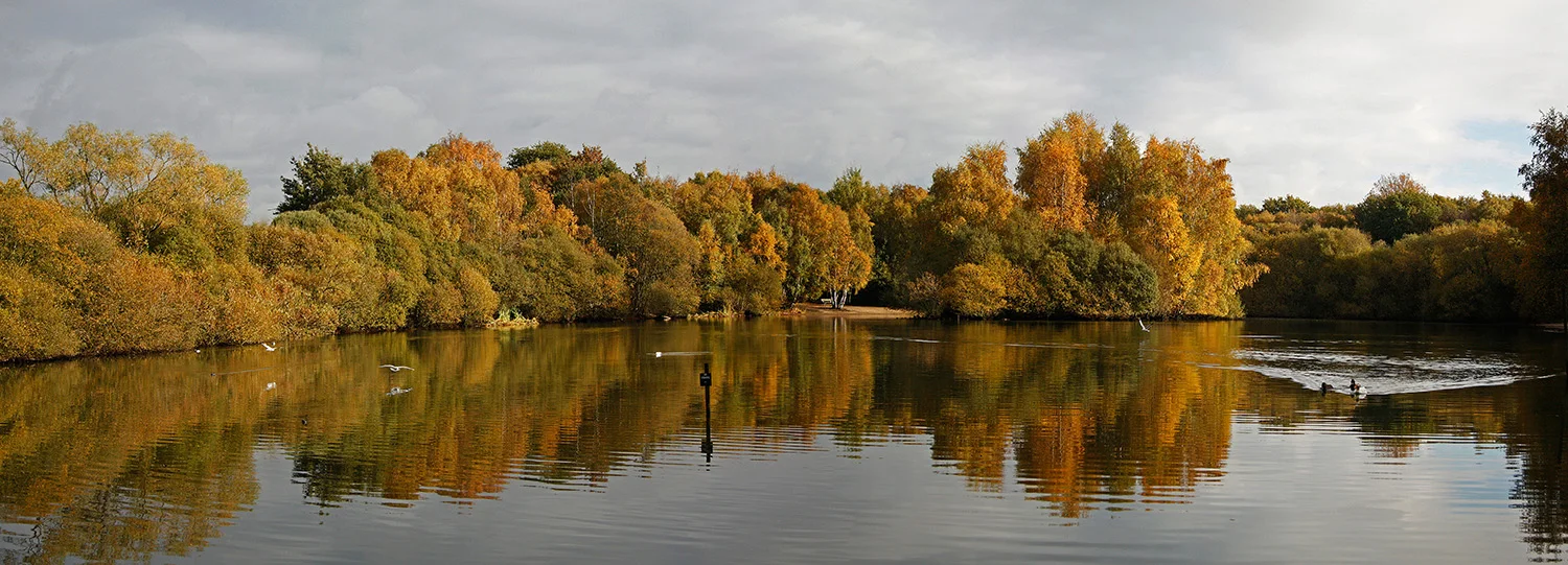 Untitled_Panorama1 R (5).jpg
