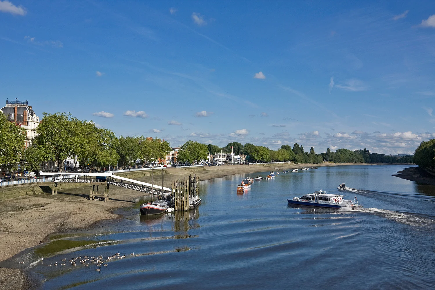 Putney 49_Thames in Putney 2_1.jpg