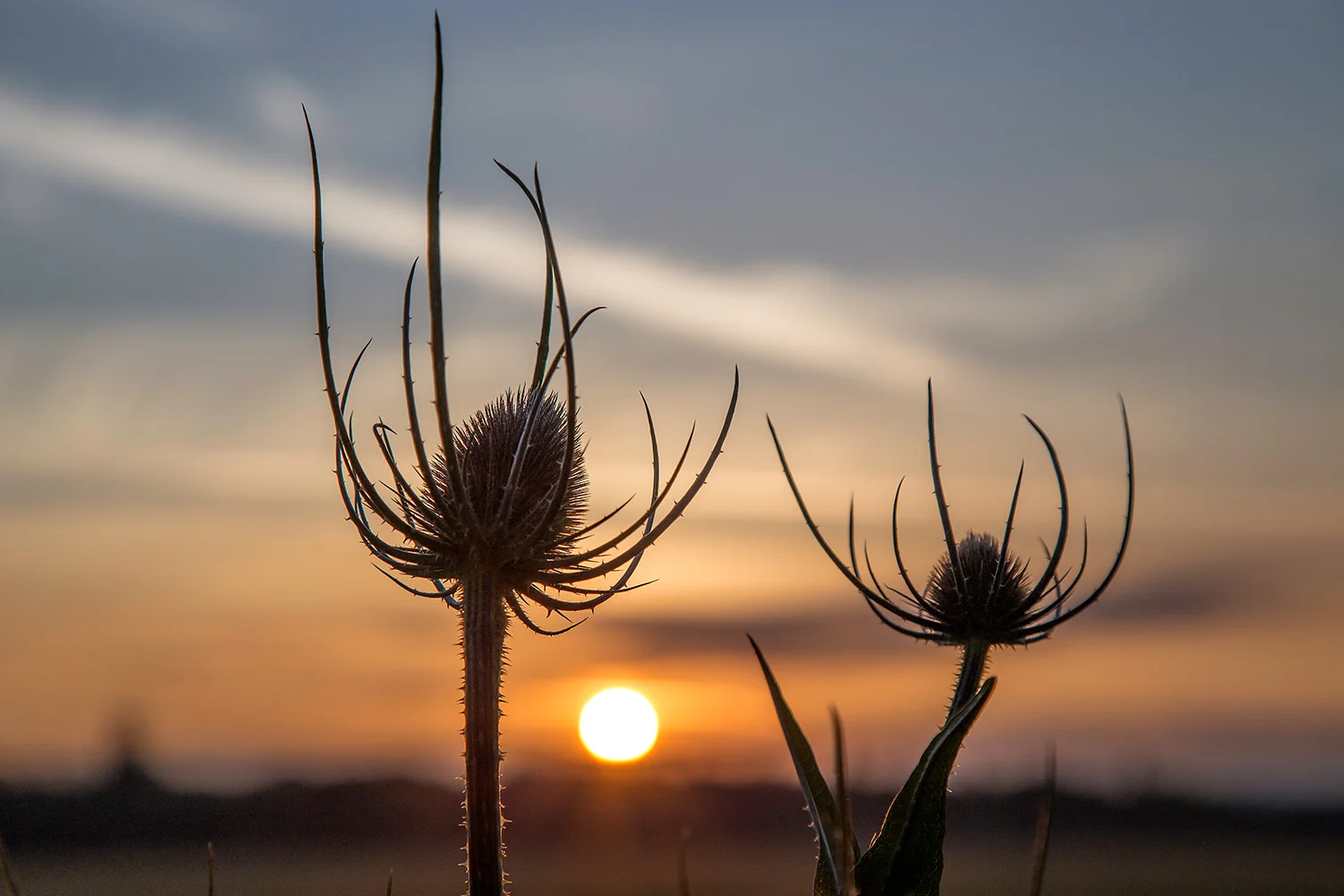 Wormwood Scrubs Sunrise 10.jpg