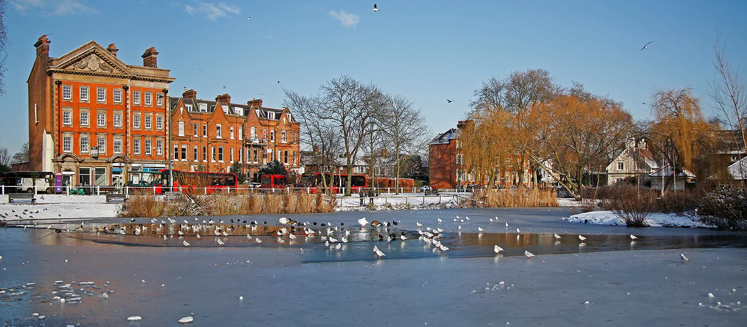 C2 32a Barnes Pond 2_Panorama1 R2.jpg