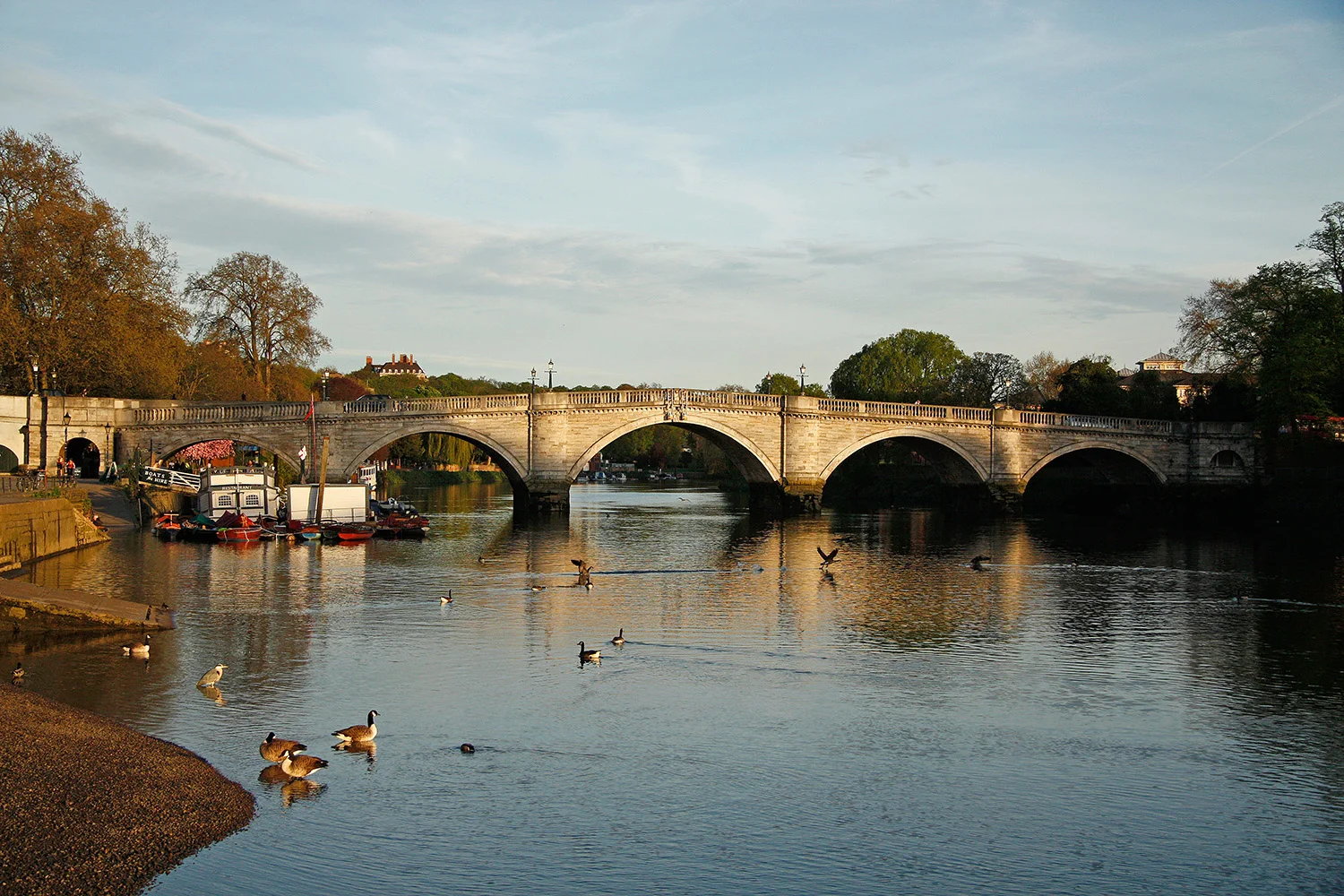 C4 R 195 April 2010 047 R.jpg
