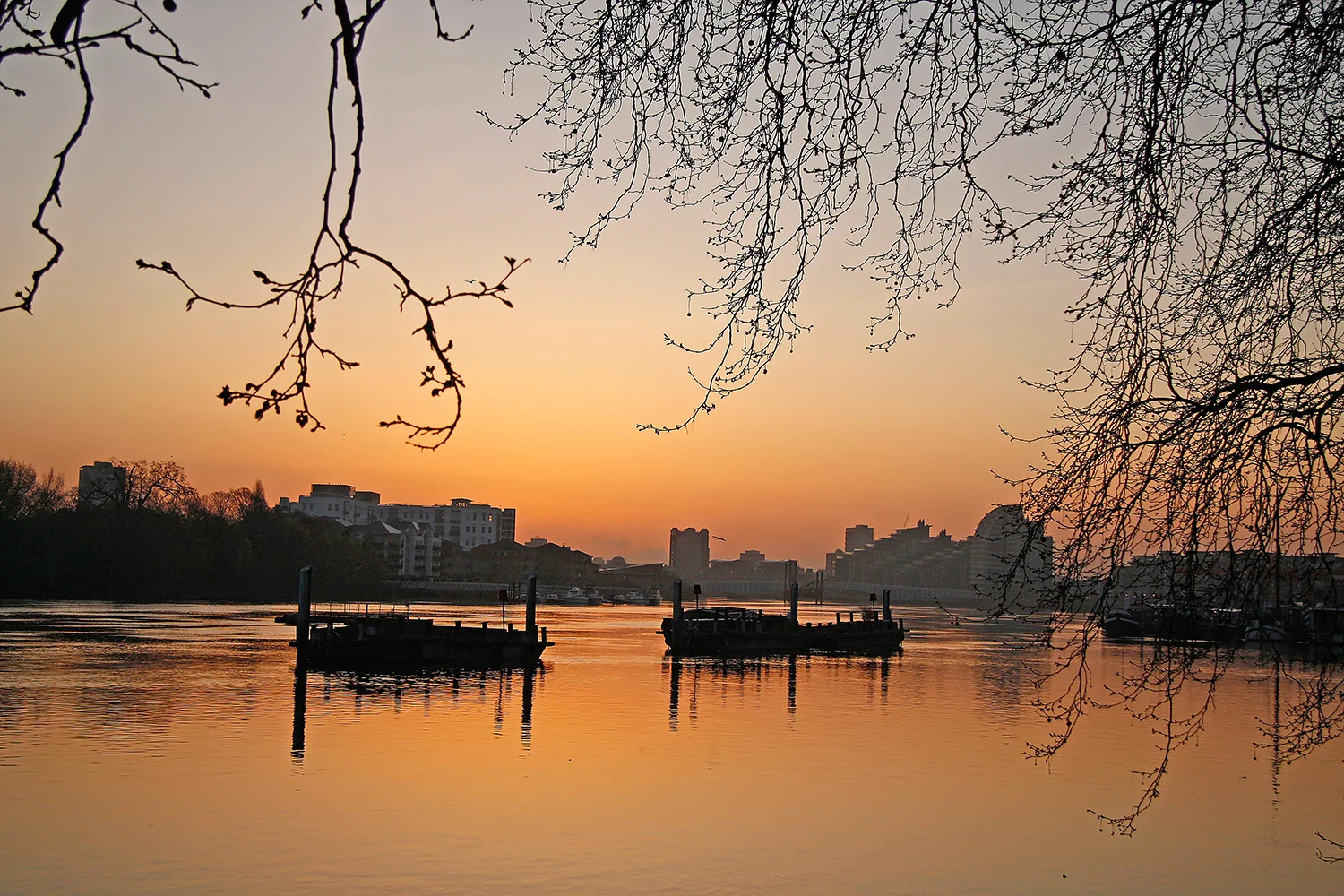 C1 RP 39 April 2010 013 R2.jpg