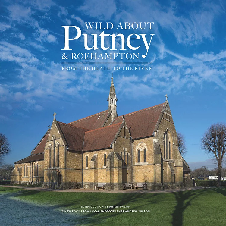 Putney-Roe_COVER_ART Web Version.jpg