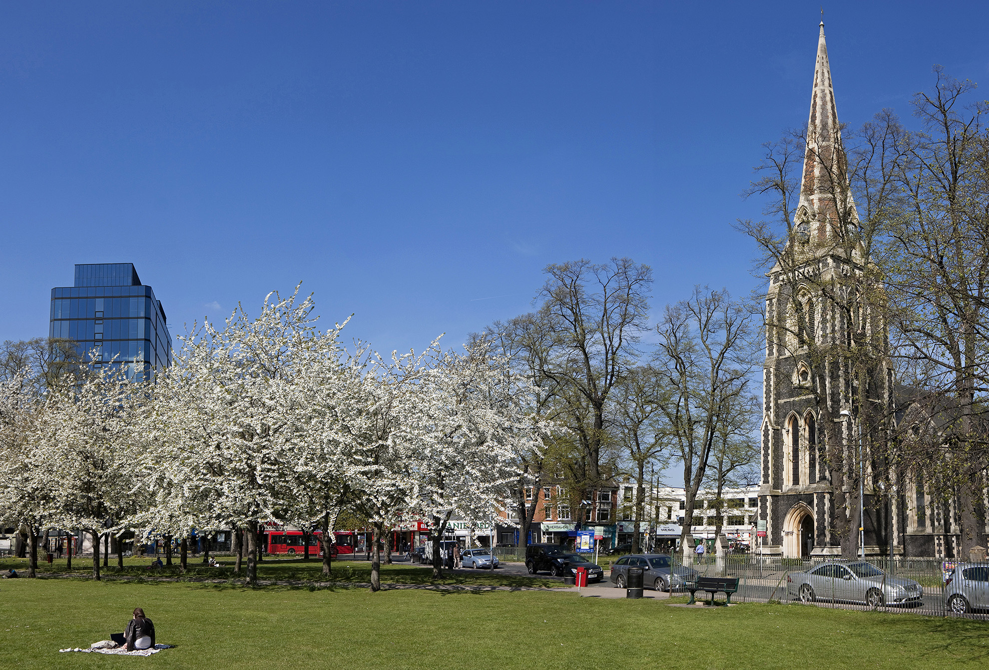 Turnham Green in Blossom.jpg