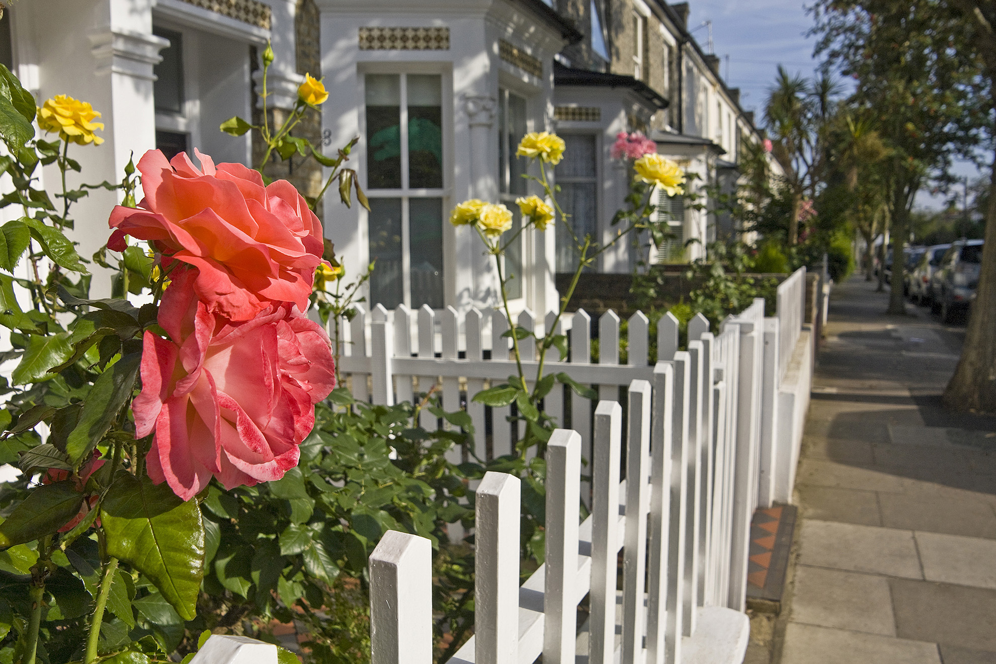 Brackenbury, Carthew Road WR.jpg