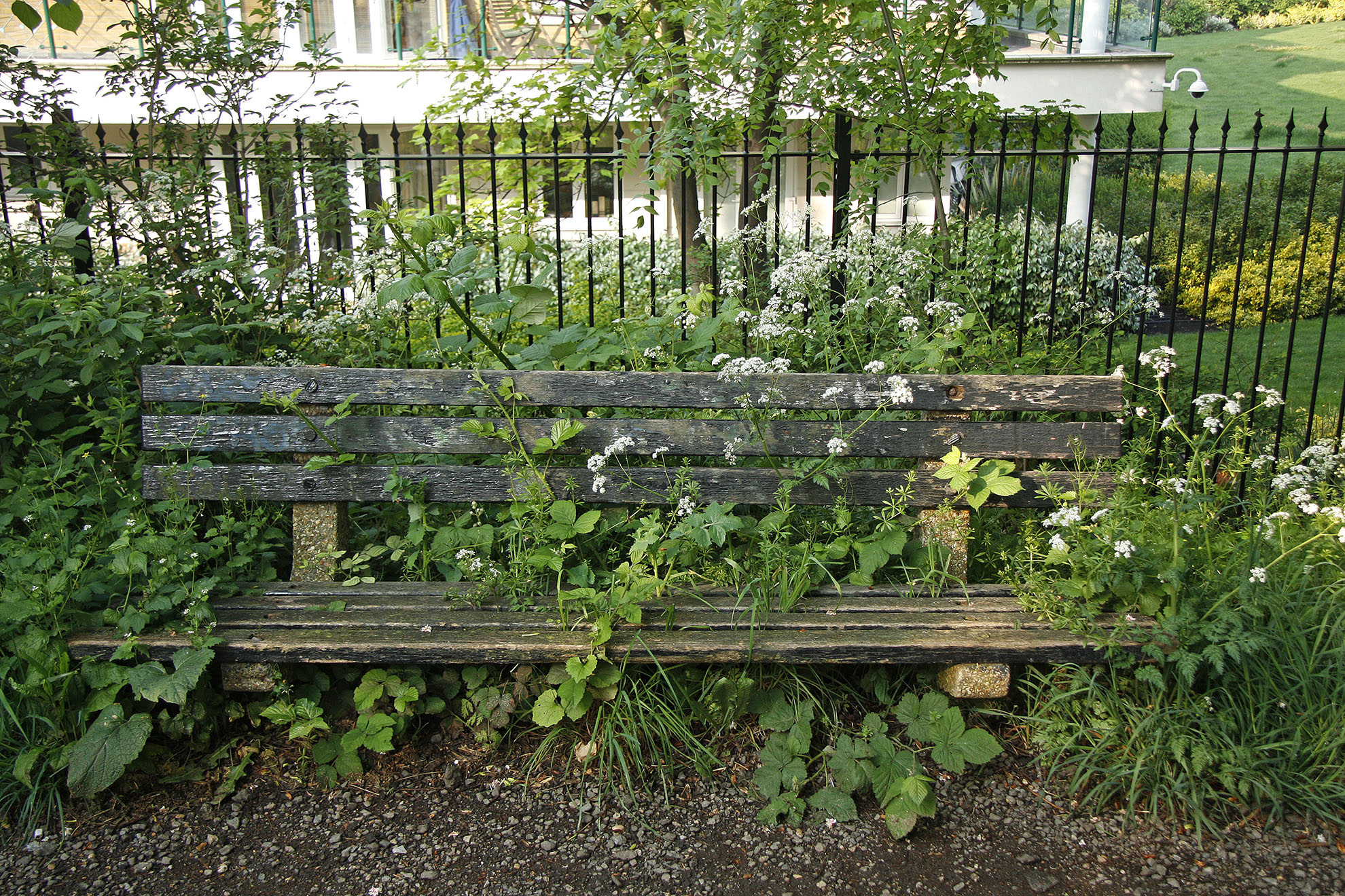 Towpath in Kew - Nature strikes back WR.jpg