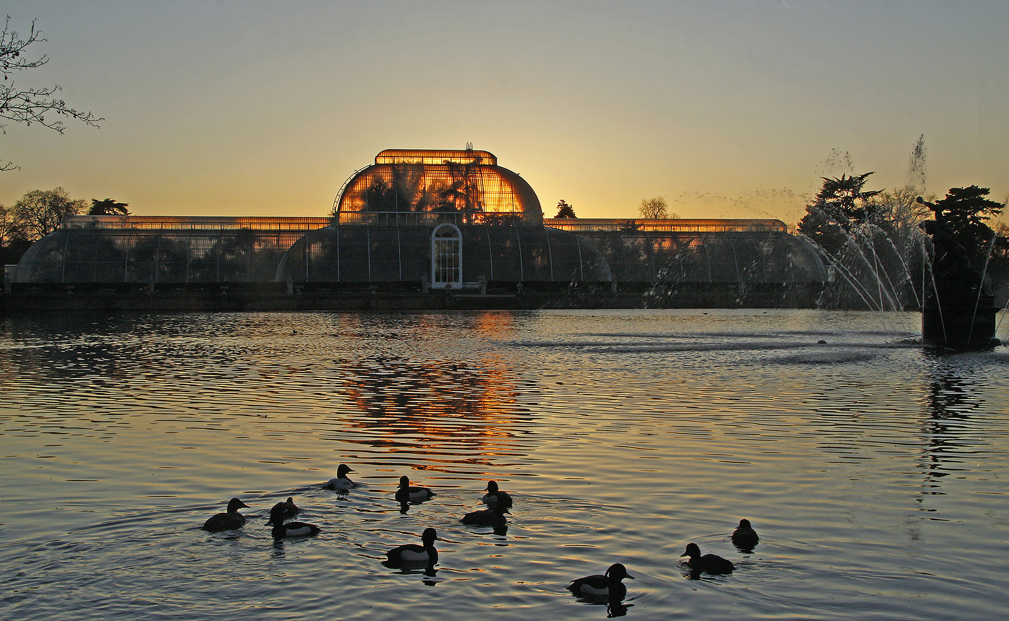 The Palm House at dusk WR.jpg