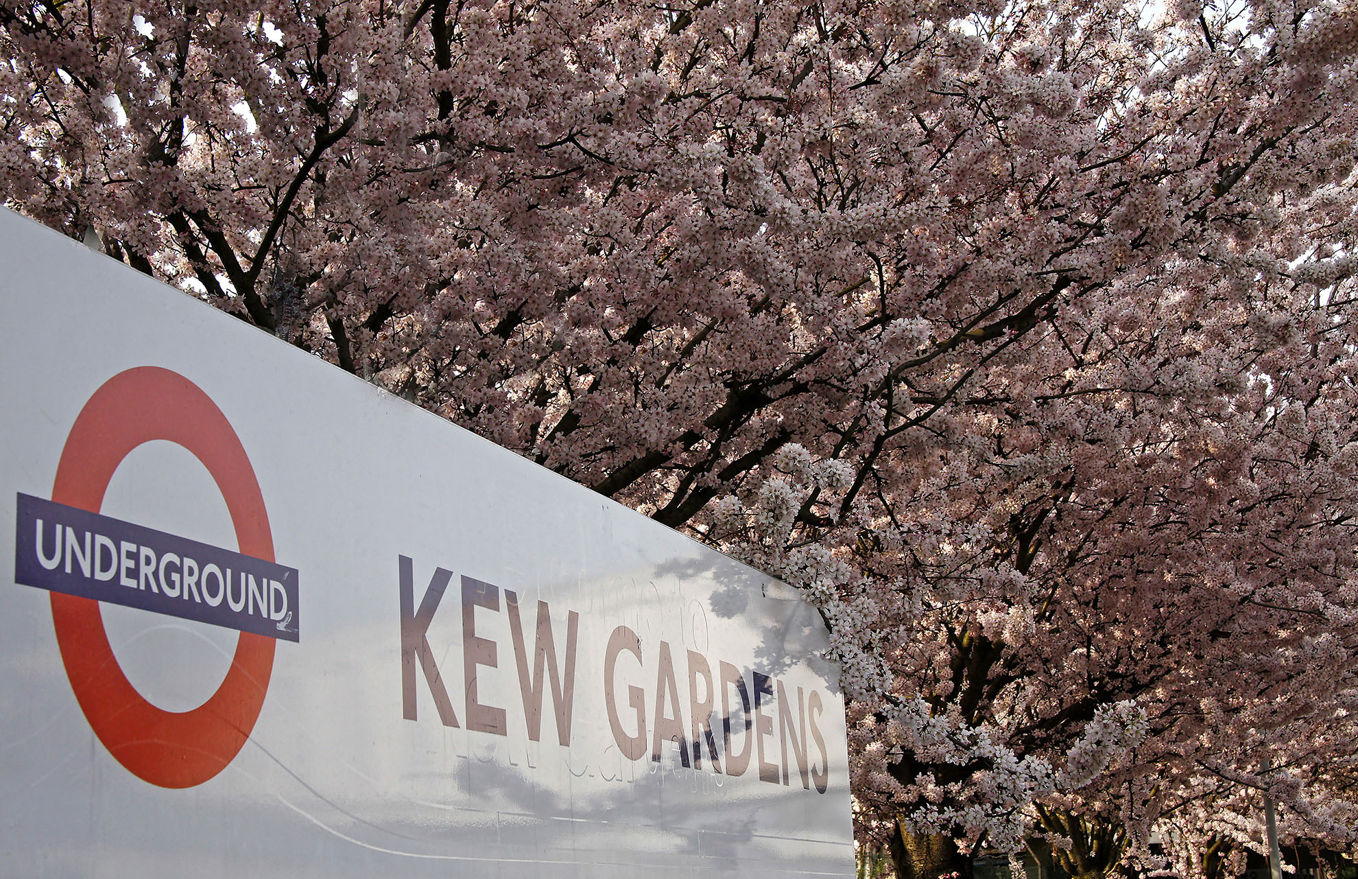 Kew Gardens station WR.jpg