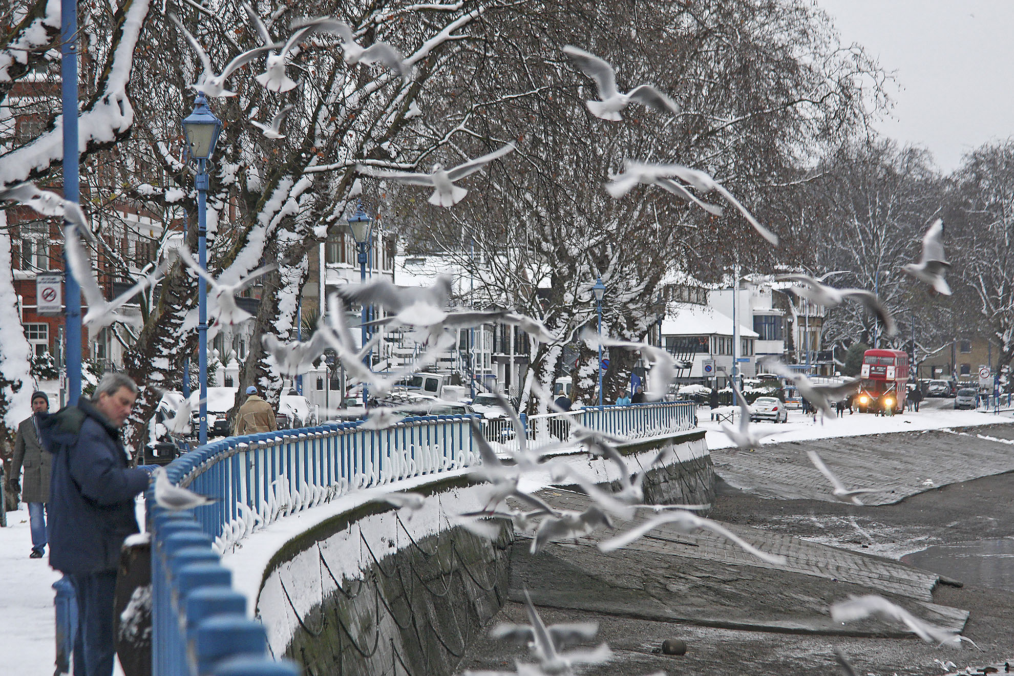 Putney Embankment WR.jpg