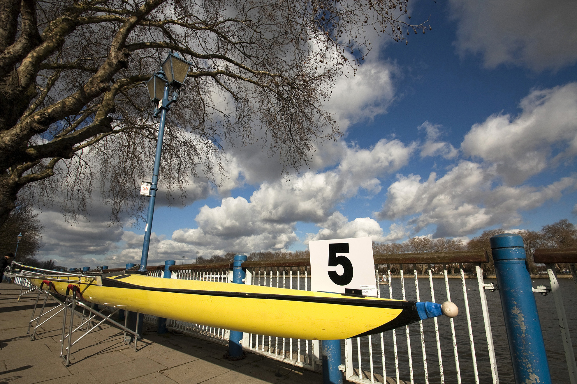 Putney Embankment Rowing WR.jpg