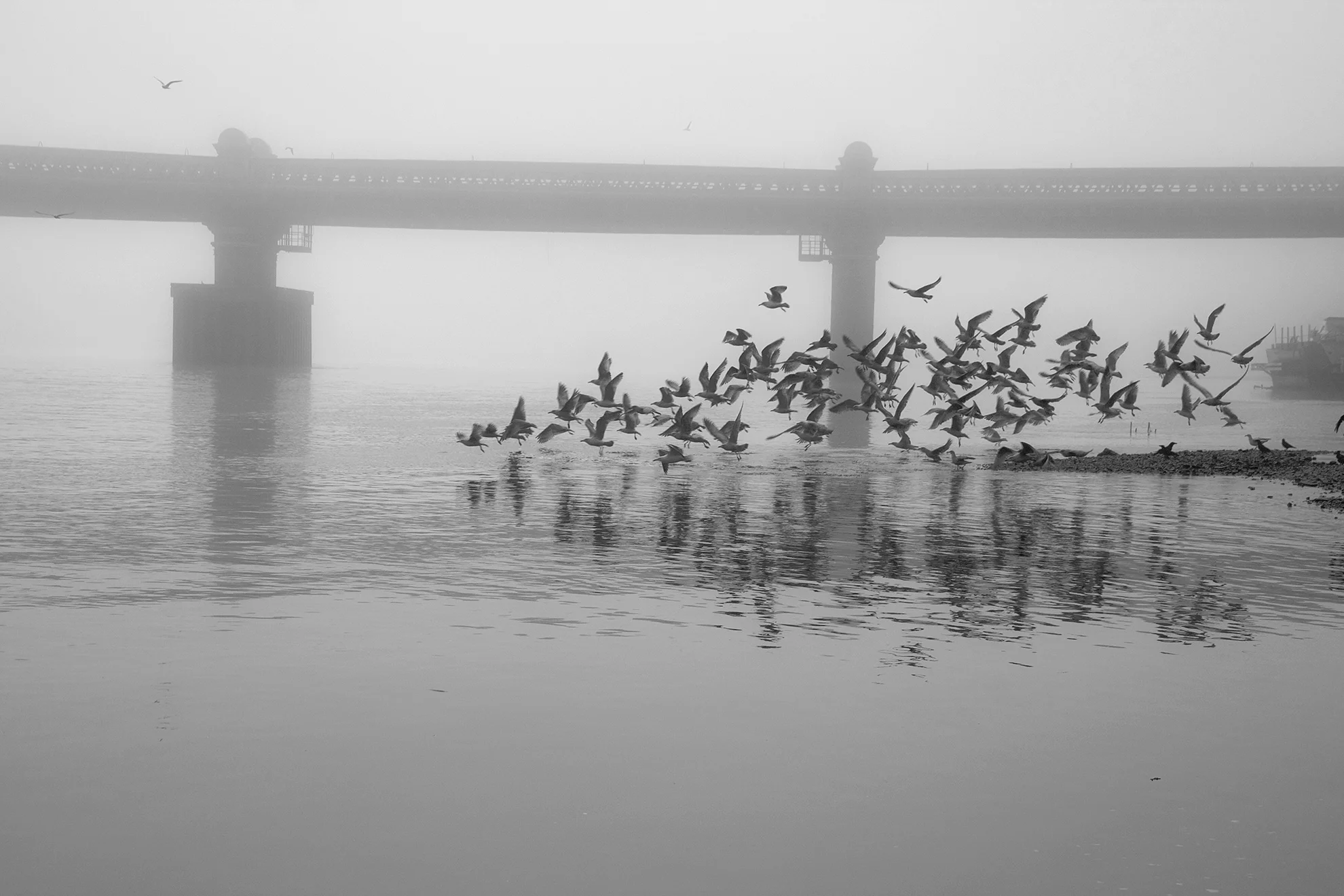 Putney Embankment WR.jpg