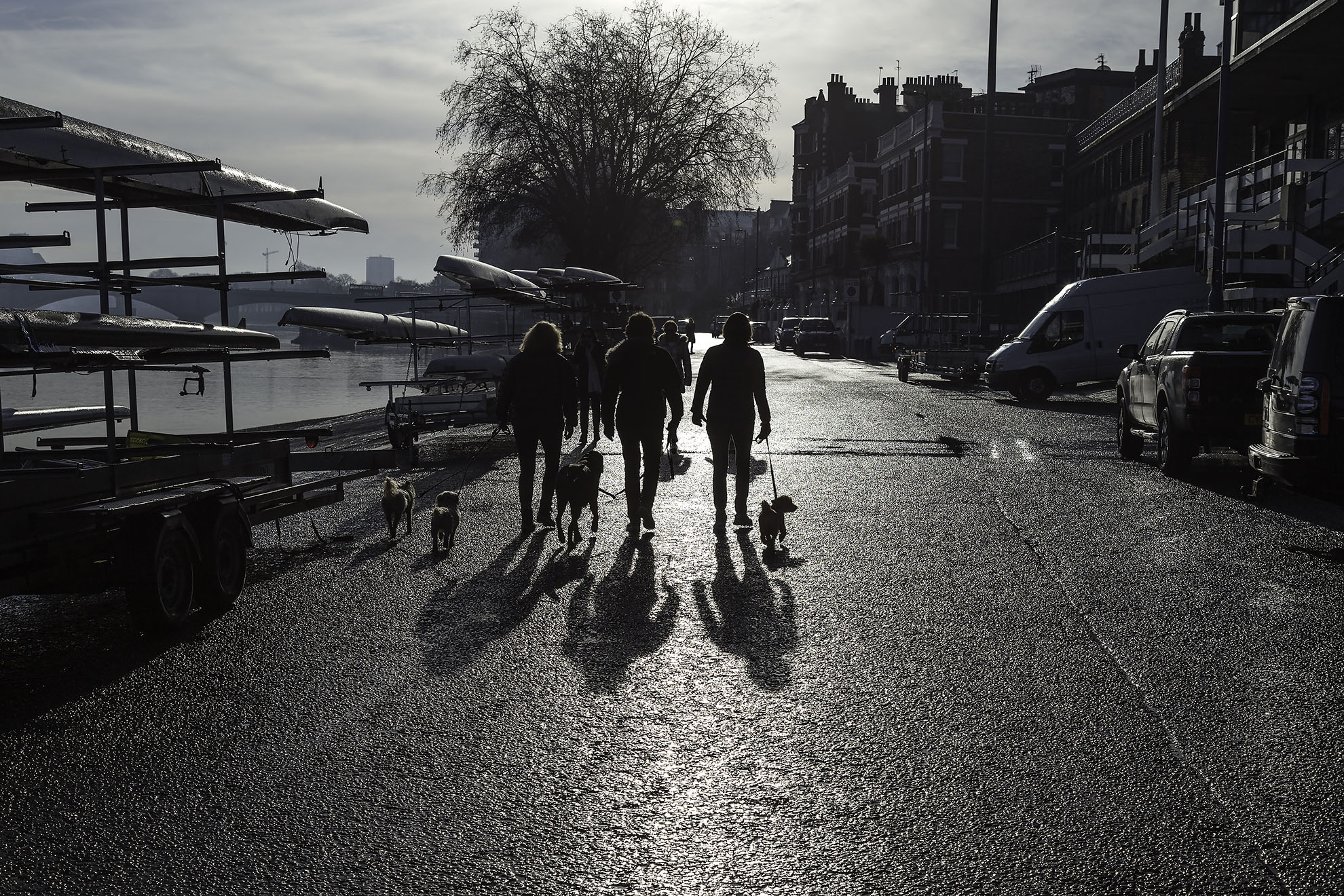 Walking the dogs Putney Embankment WR.jpg