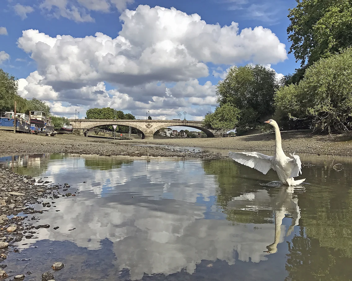 Kew Bridge.jpg