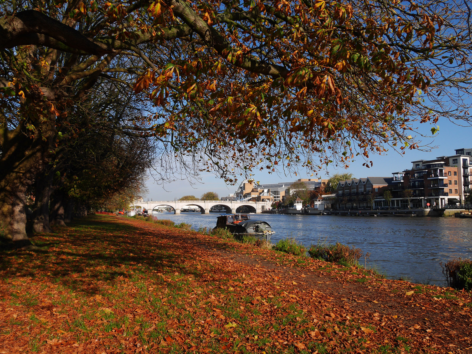 Kigston Bridge in autumn.jpg