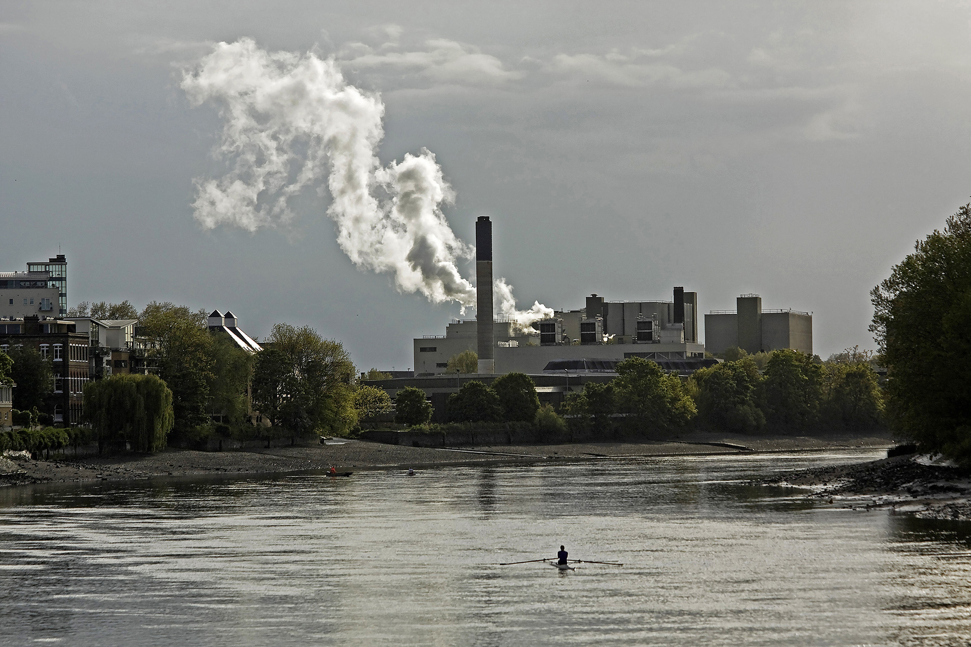 Mortlake Brewery from Barnes.JPG