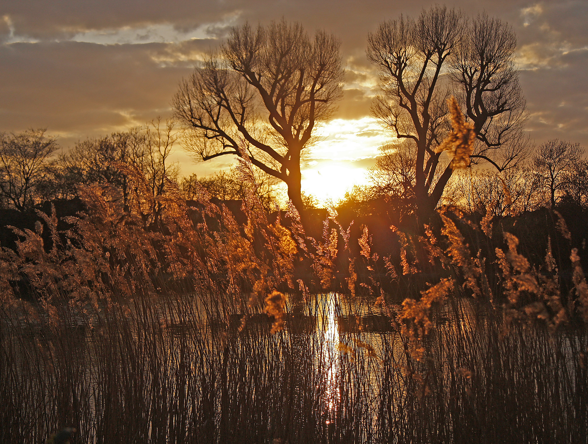 Sunset over the river.jpg