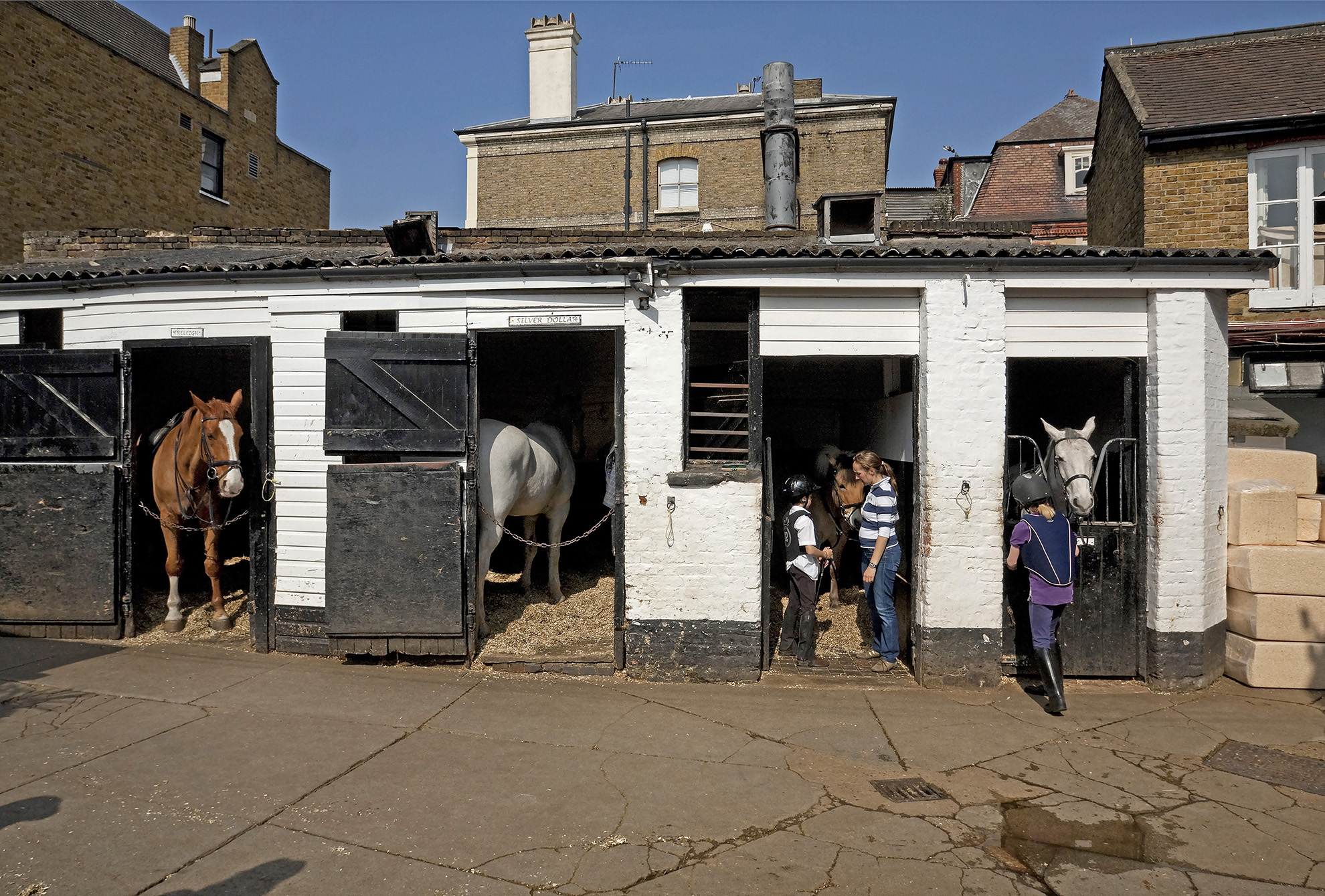 Wimbledon Village Stables.jpg