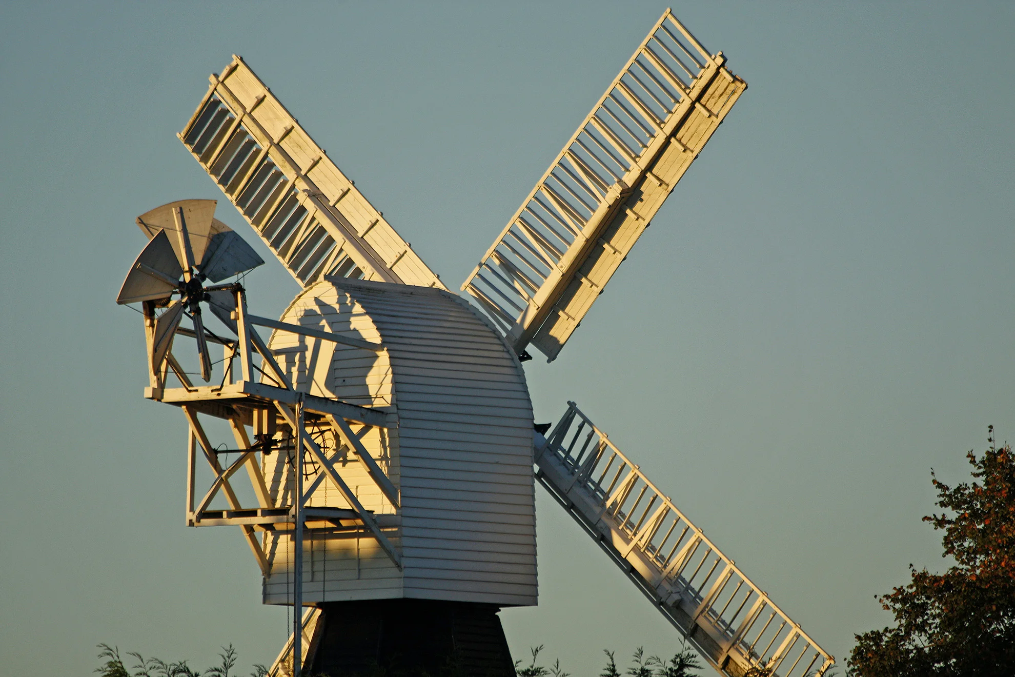 Wimbledon Common.jpg