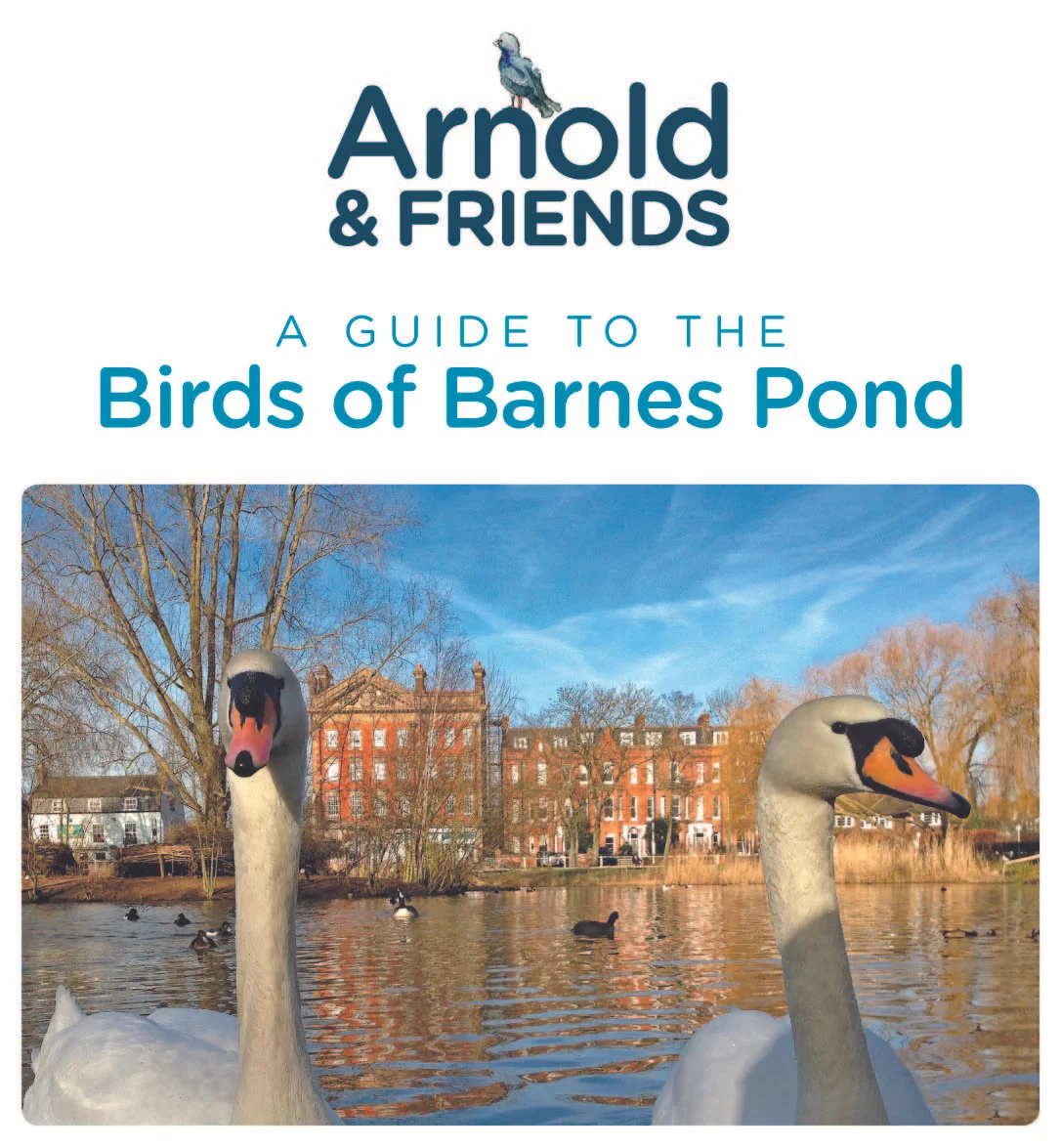 63882_UNITY - Arnold & Friends_INSERT_ART_LORES_Proof2_Page_1.jpg