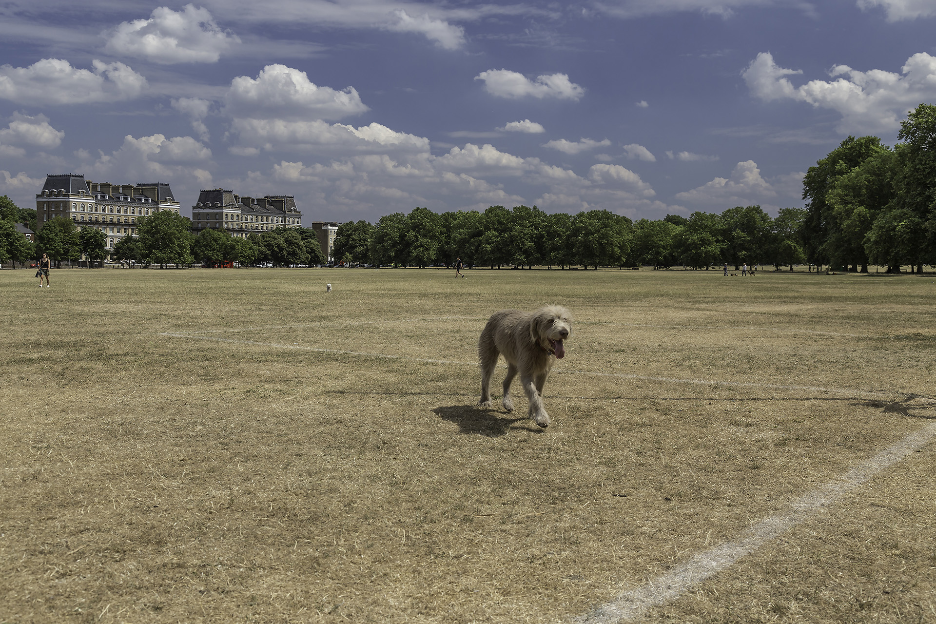 Clapham Common Jul 1 WR.jpg