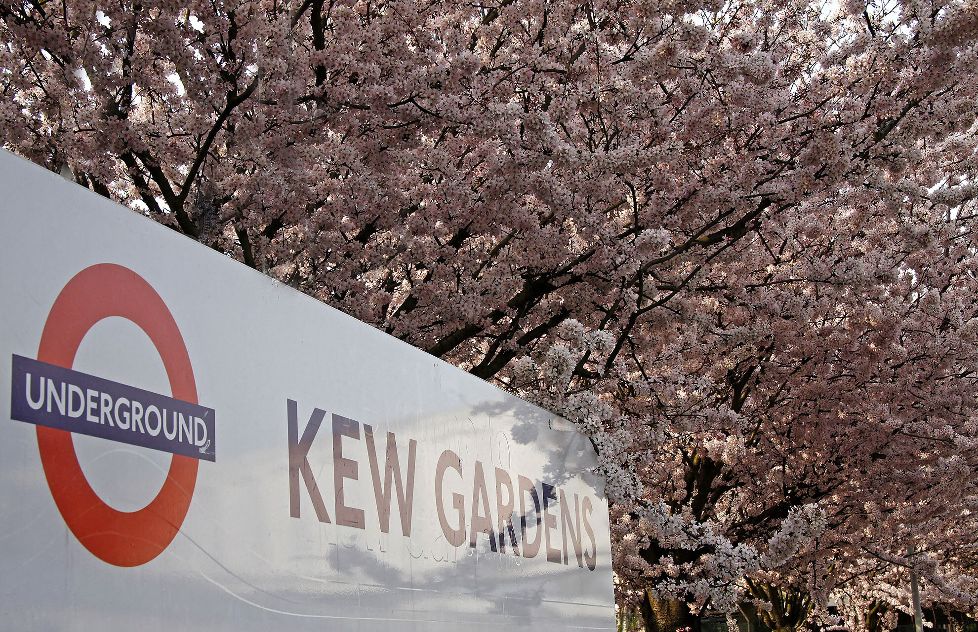 Kew+Gardens+station+WR.jpg