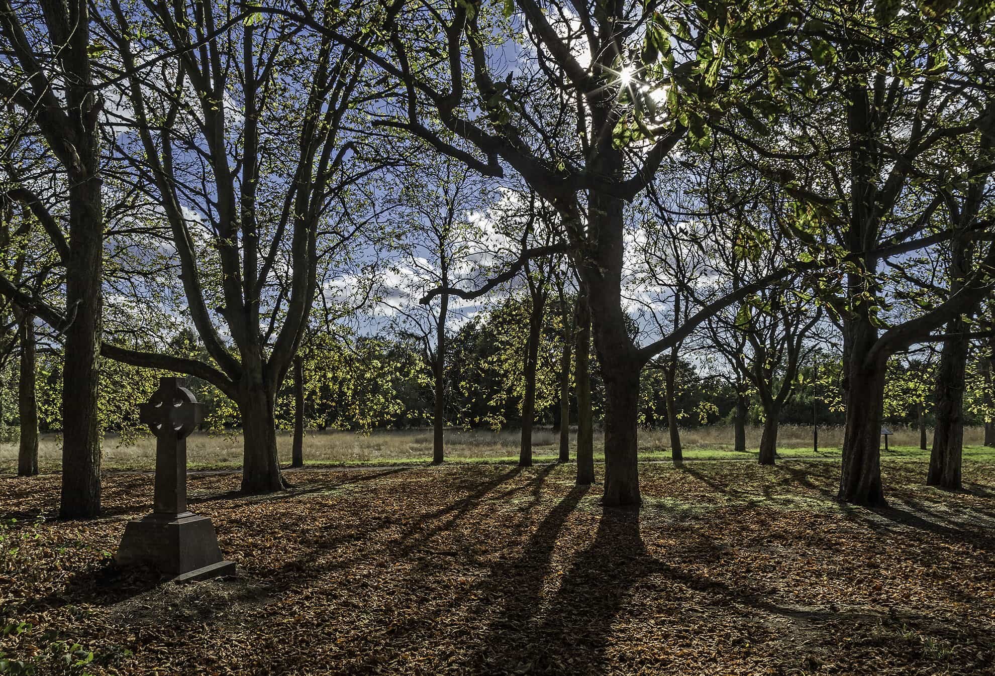 Barnes Common Old Cemetery WR-min.jpg