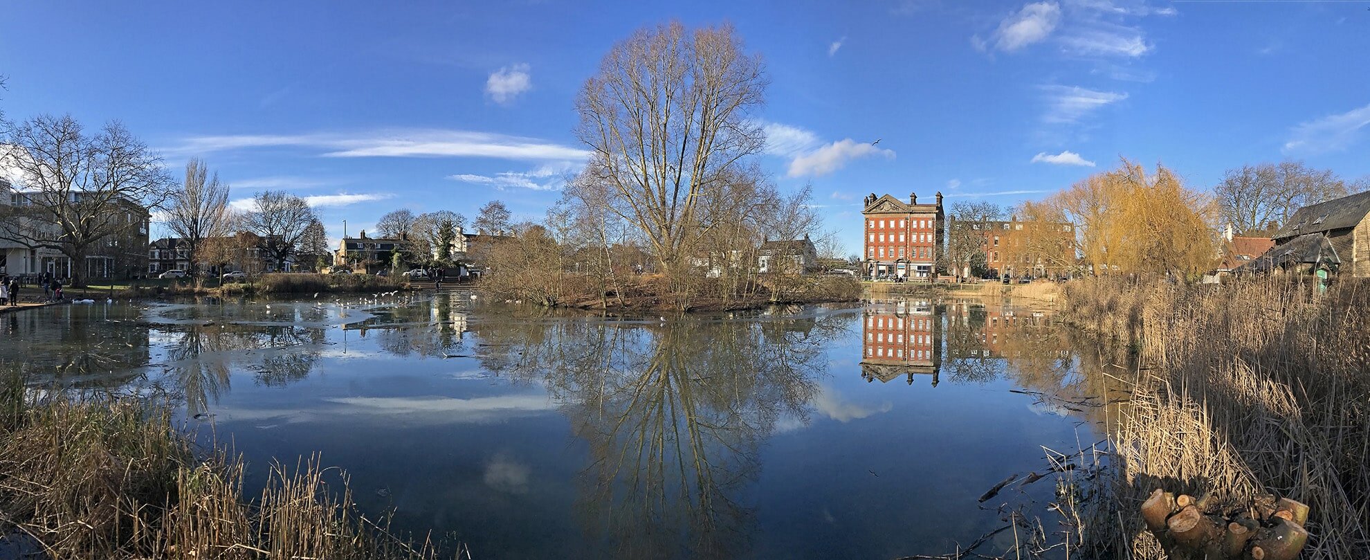 Barnes Pond in the ice panorama WR-min.jpg
