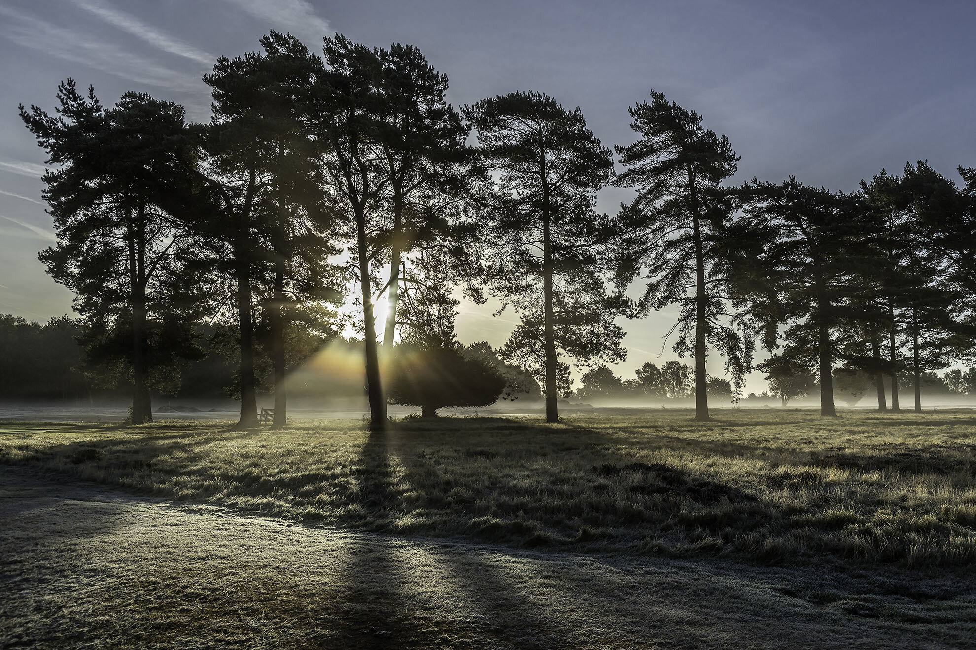 Early Morning on Walton Heath Sep 5 WR - Copy - Copy.jpg