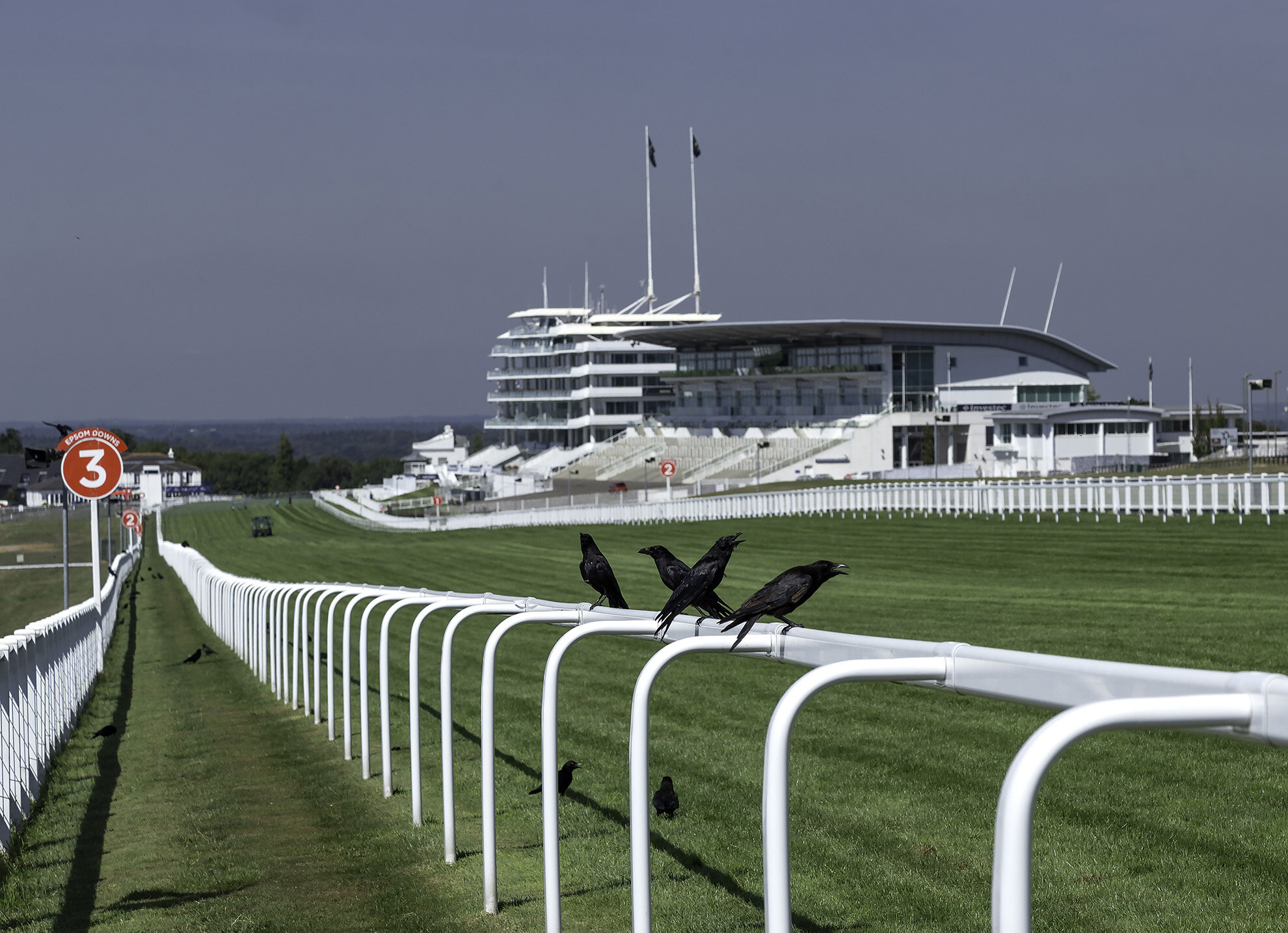 Spectators gather on Epsom Downs 1 WR.jpg