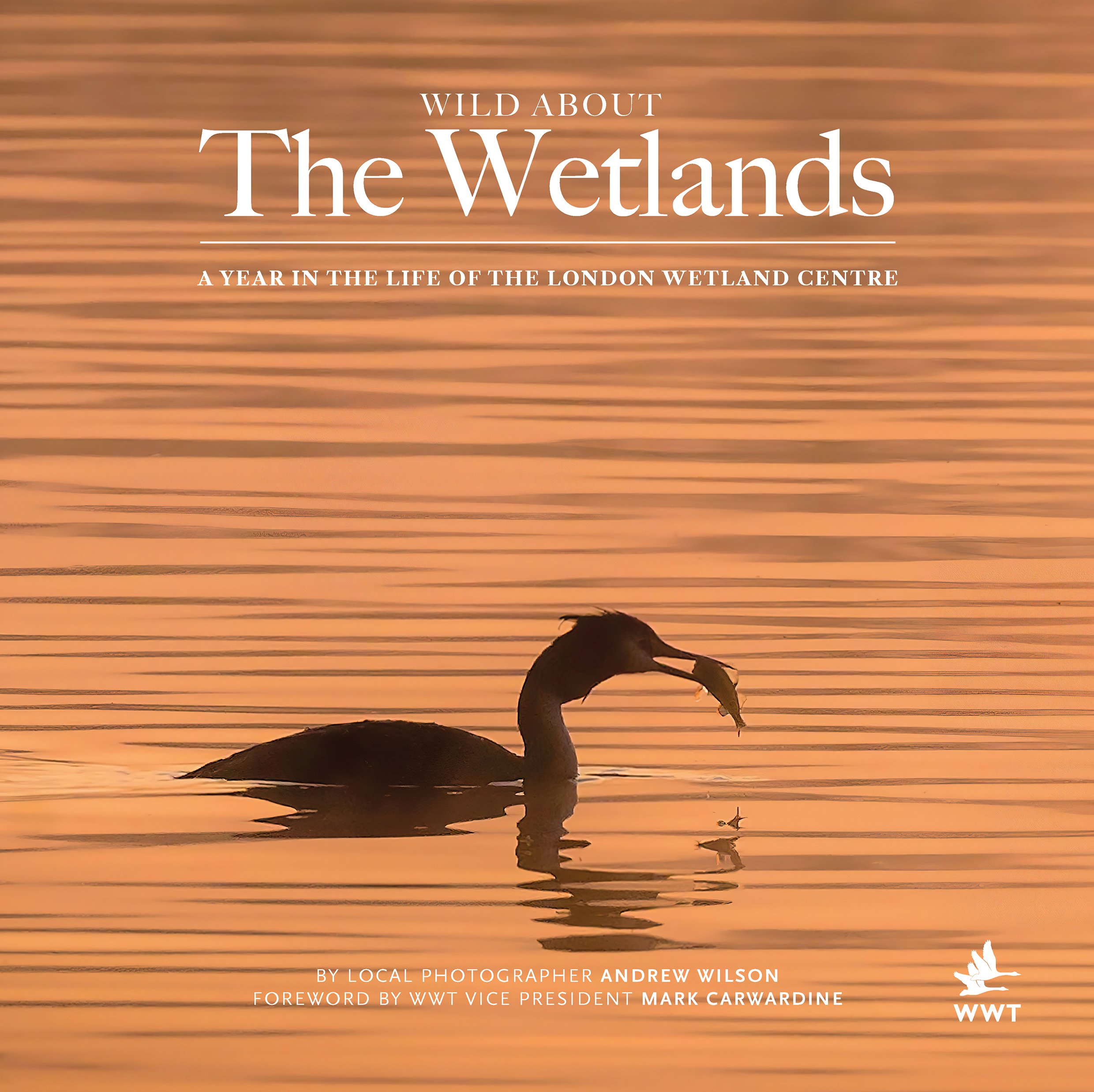 Wild about The Wetlands Cover-Ai A4.jpg