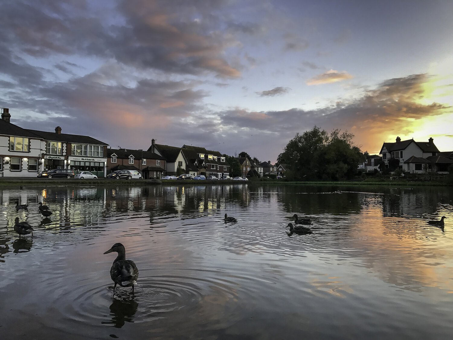 Walton+Pond+at+Sunset+Sep+WR.jpg